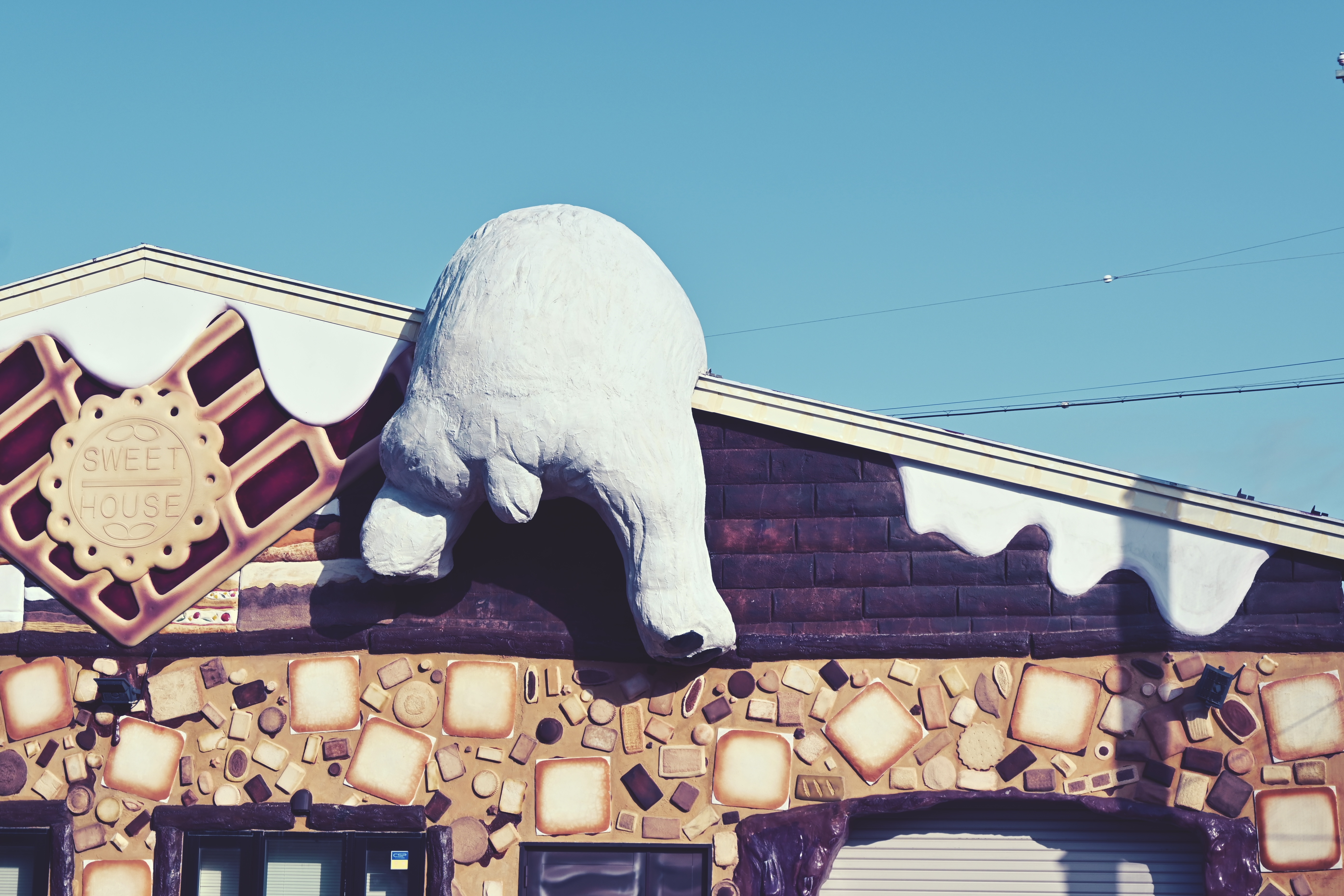 Photo 1186 - add descriptive alt text